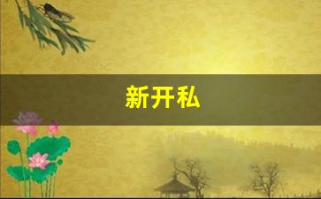 梦幻西游师傅：新开私(新开私人仓库)