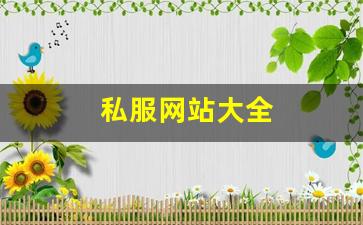 sf梦幻西游：私服网站大全 (3)