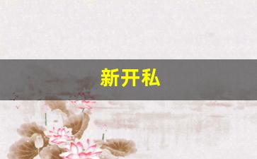 新开私 (3)