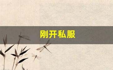 梦幻西游 sf：刚开私服 (6)
