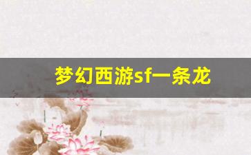 梦幻西游sf一条龙 (17)