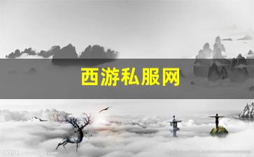 西游私服网(西游 服务器)