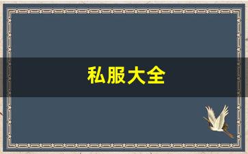 梦幻手游变态公益服发布网：私服大全 (1