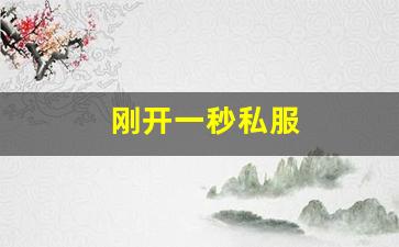 刚开一秒私服 (11)