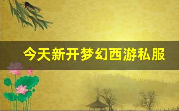 今天新开梦幻西游私服 (3)