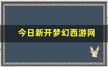 今日新开梦幻西游网 (8)