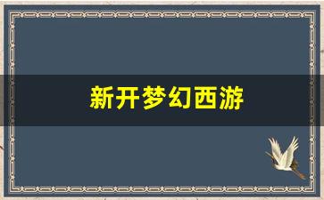 新开梦幻西游 (6)