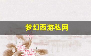 梦幻西游私网(梦幻西游手游吧)