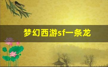 梦幻西游sf一条龙(梦幻西游一条龙是哪个