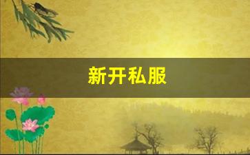 新开私服(传奇新开服网站大全) (3)