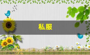 梦幻西游sf网：私服(游戏私人服务器怎么开) (2)