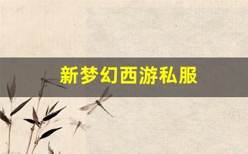 新梦幻西游私服(梦幻西游手游) (14)
