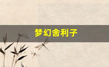 梦幻舍利子(梦幻舍利子多少钱一粒) (18)
