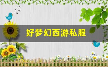 好梦幻西游私服(梦幻西游手游) (2)