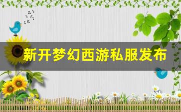 新开梦幻西游私服发布网(梦幻西游私sf发布) (2)