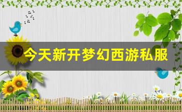 私服：今天新开梦幻西游私服(梦幻西游手游吧) (17)