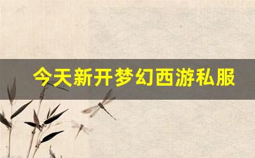今天新开梦幻西游私服(梦幻西游手游吧) 