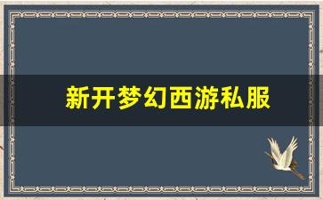 新开梦幻西游私服(梦幻西游手游吧) (19)