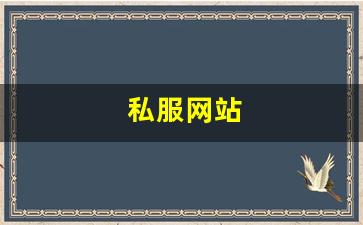 私服网站(传奇新开服网站大全) (7)
