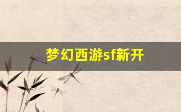 梦幻西游sf新开(梦幻西游sf新开门派攻