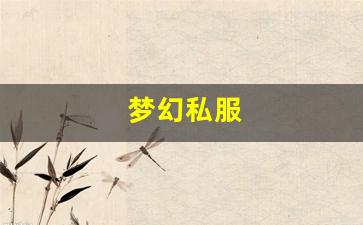 梦幻私服(梦幻手游私sf平台) (15)
