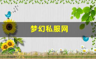 梦幻私服网 (7)