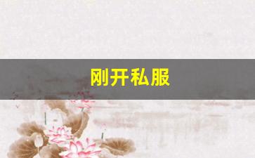 梦幻西游客户端：刚开私服 (12)