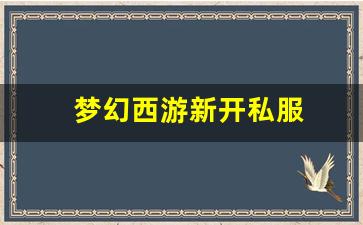 新开一秒sf：梦幻西游新开私服