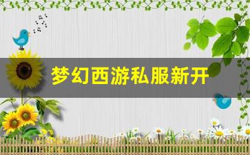 梦幻西游s：梦幻西游私服新开(梦幻西游手游吧) (15)