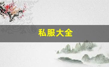 最新梦幻西游sf：私服大全 (17)