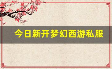 梦幻西游私网：今日新开梦幻西游私服(梦幻西游手游吧) (16)