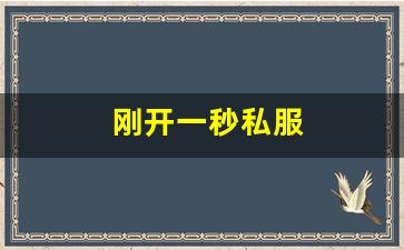 刚开一秒私服(最新刚开一秒传奇sf) (2)