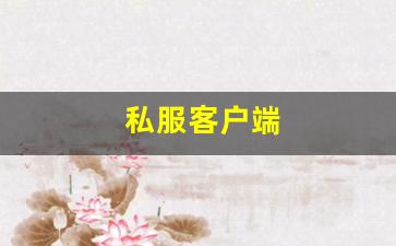 梦幻西游发布网：私服客户端 (11)