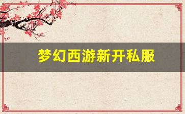 梦幻西游新开私服 (11)